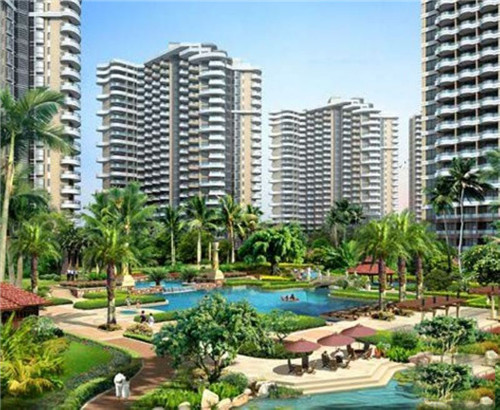 杨明伟餐饮设计怎么样，杨明洁设计公司怎么样