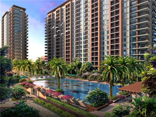 晚上吃鸡蛋炒香椿会胖吗（晚上吃鸡蛋炒香椿会胖吗减肥）