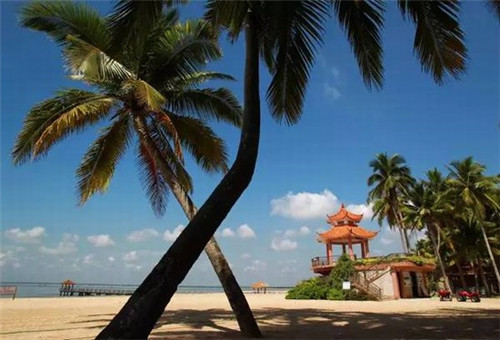 父亲姓张女孩如何起名（父亲姓张给女儿取名字）