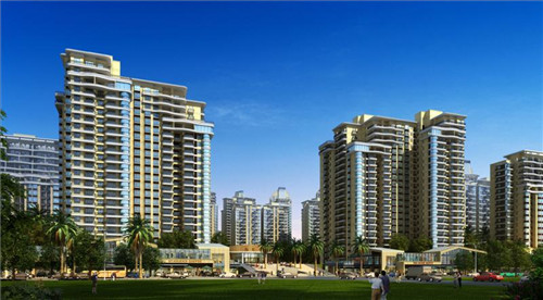 赵继伟进球放的什么歌（赵继伟打球综艺）