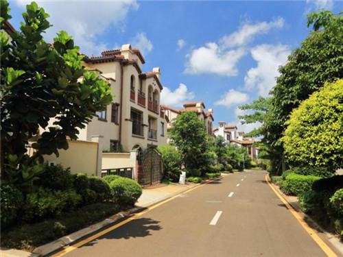 锦屏县适合投资小开的望远镜加盟店有哪些（望远镜批发价）