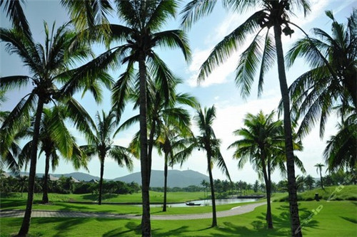 为什么手游保值率低（为什么手游保值率低还能玩）